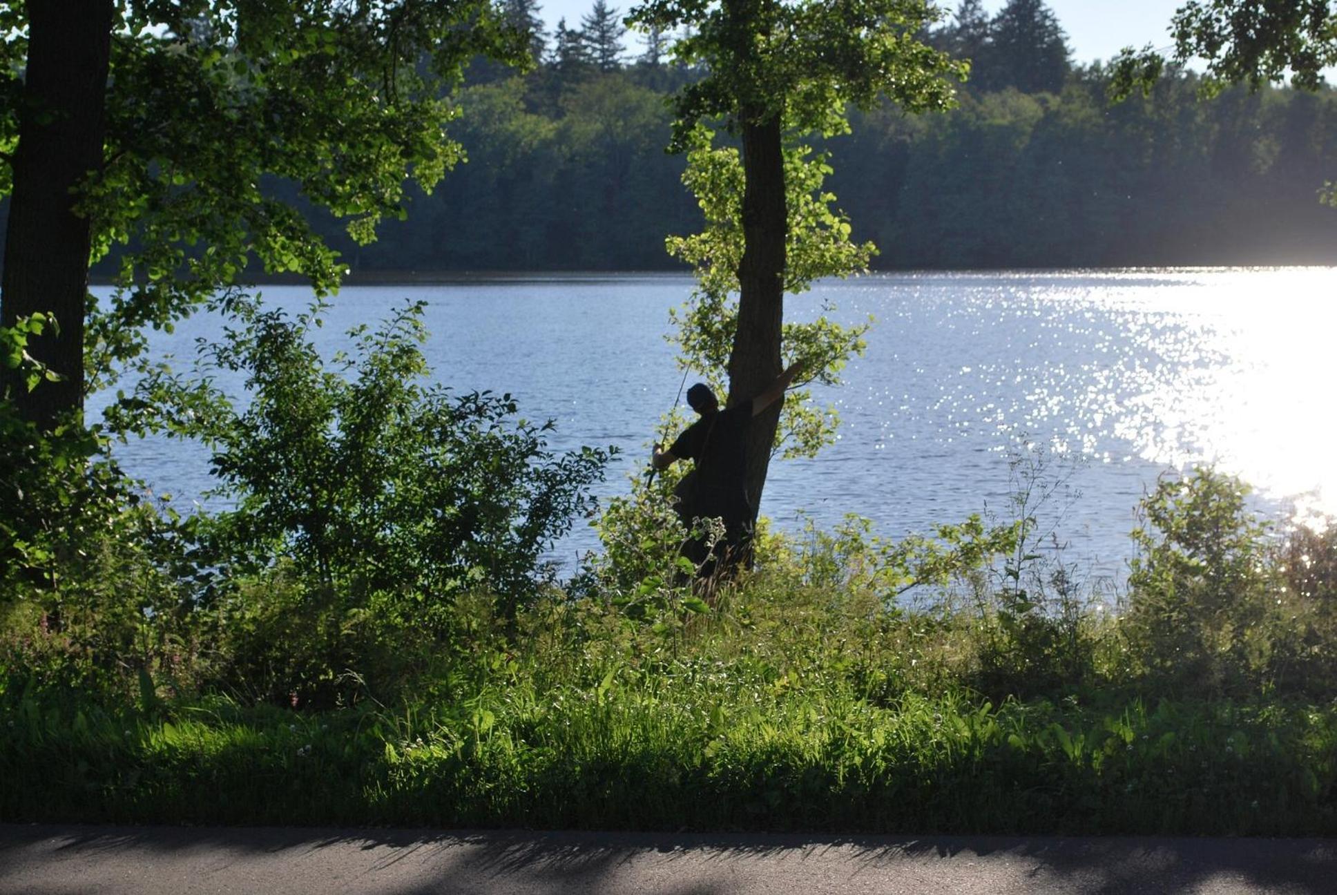Zajazd Zamkowy - Schlossgasthof Krąg Exteriör bild